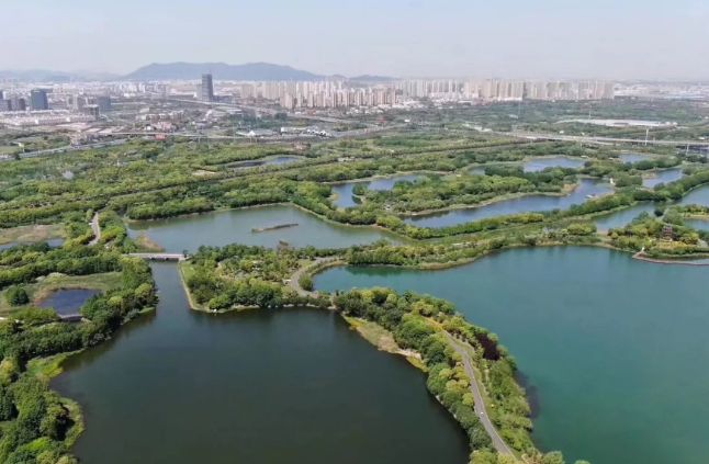 虎丘湿地公园