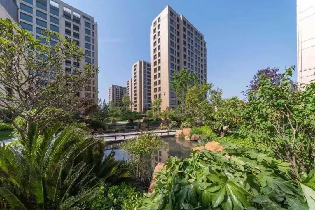 滨江公园壹号实景