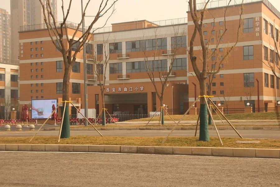 图|西安曲江小学实拍