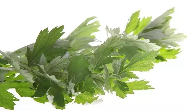 端午节, 家家门口都插上艾叶, 辟邪又防虫.