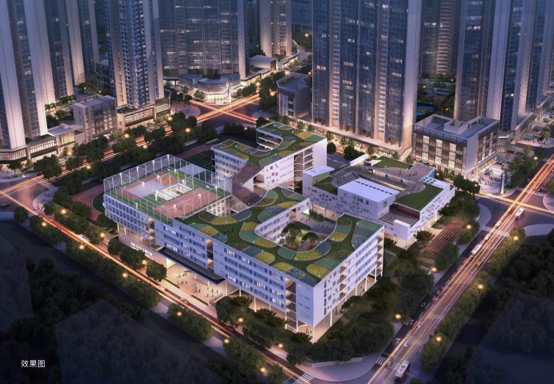 去年top100中(八大版)中,沙井街道仅上寮学校和沙井中山书院挤进了前