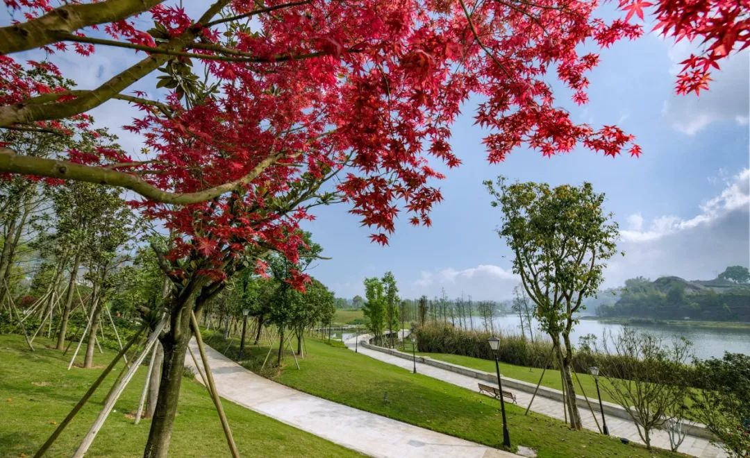 御临河公园实景图