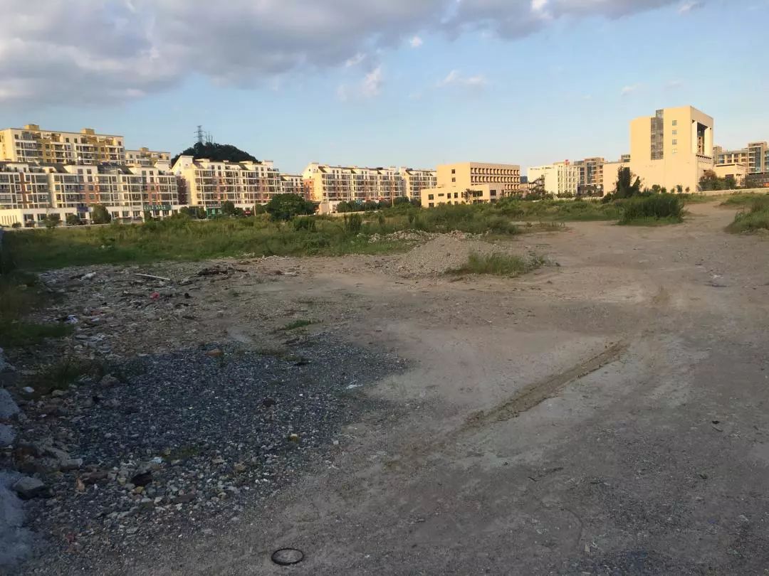 玉环市有多少人口_处女座附身 玉环公路人要在省道上来一场持续半年的大扫除(2)