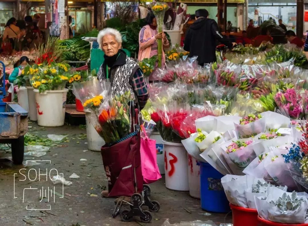 乡还在成都2019花卉市场最新规划浮出来看你家附近有没有