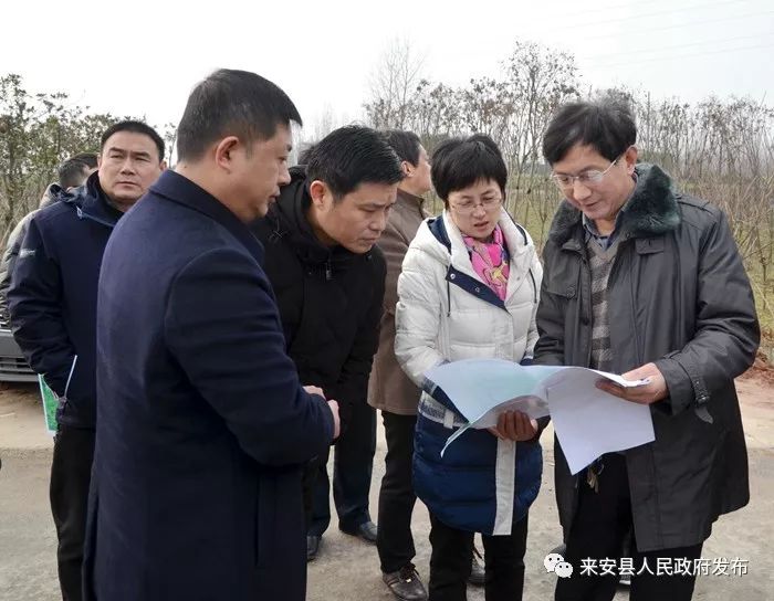 2月16日上午,县委副书记,县长杨文萍率队 调研汊河经开区及滁宁轻轨